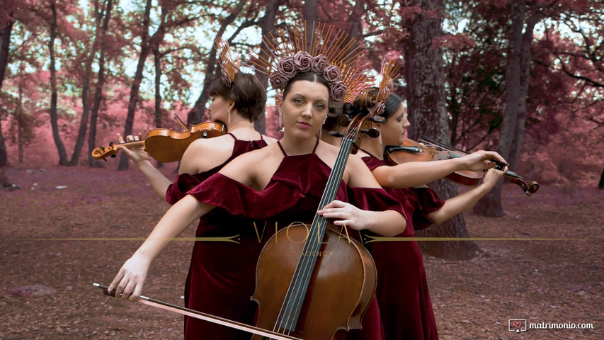 Quartetto d'archi Velvet Rose