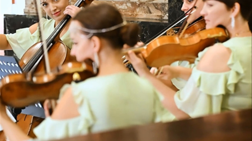 Viola String Quartet