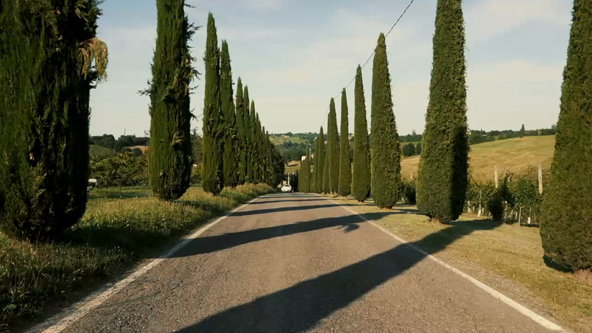 AutoMatrimonioReggio