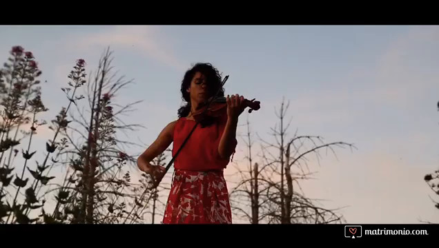 Violino-Musica-Aperitivo in natura