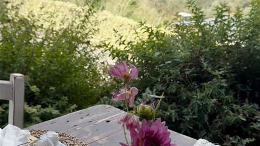 Agriturismo Sottotono
