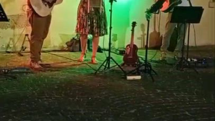 Moonshadows Folk Country & Irish 