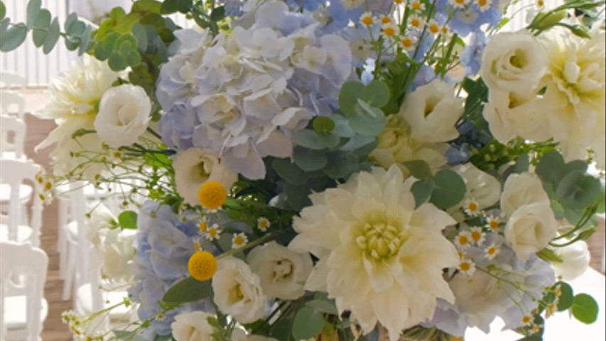 Salvo Flowers