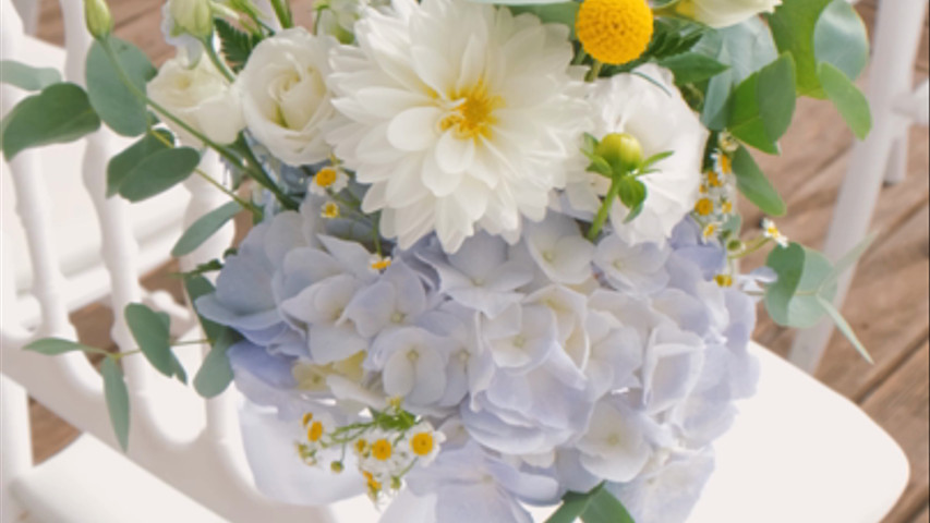 Salvo Flowers