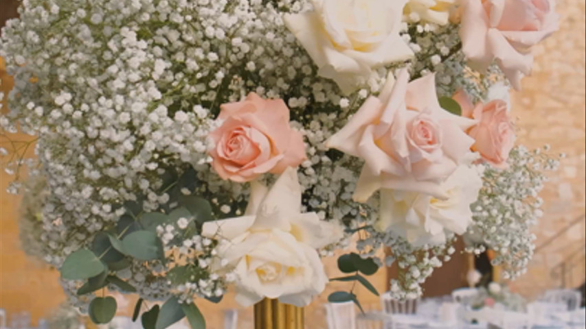 Salvo Flowers