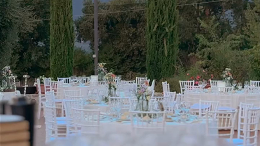 Wedding 