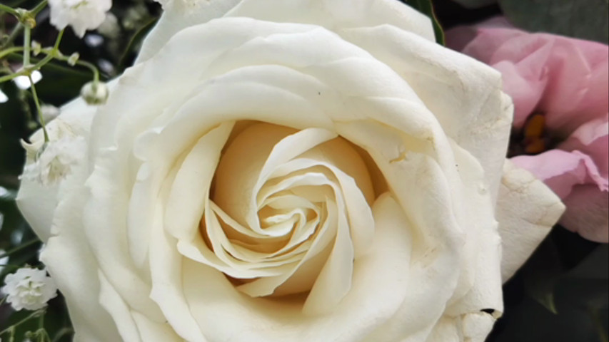 Wedding Poem in English