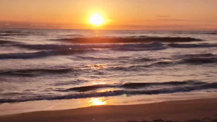 Poesia de amor em português 