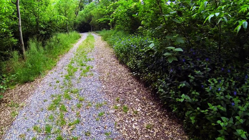 Lo scenario naturale del grande Parco