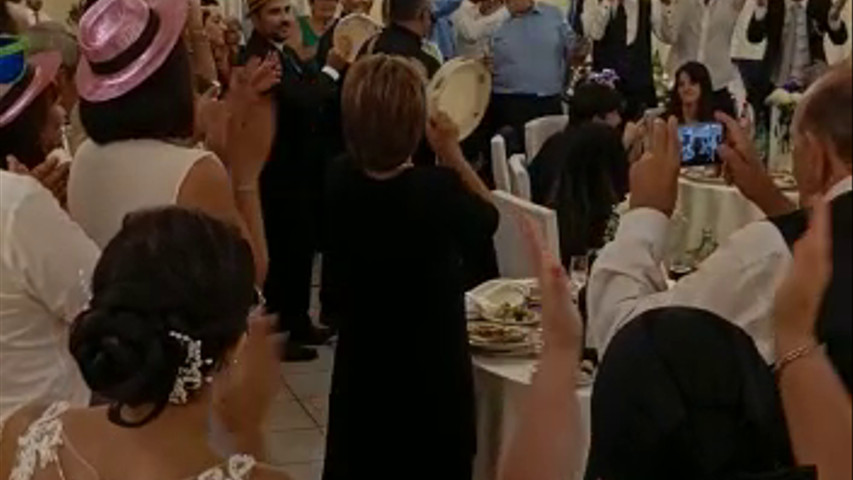 Michele D'Onofrio Wedding & More
