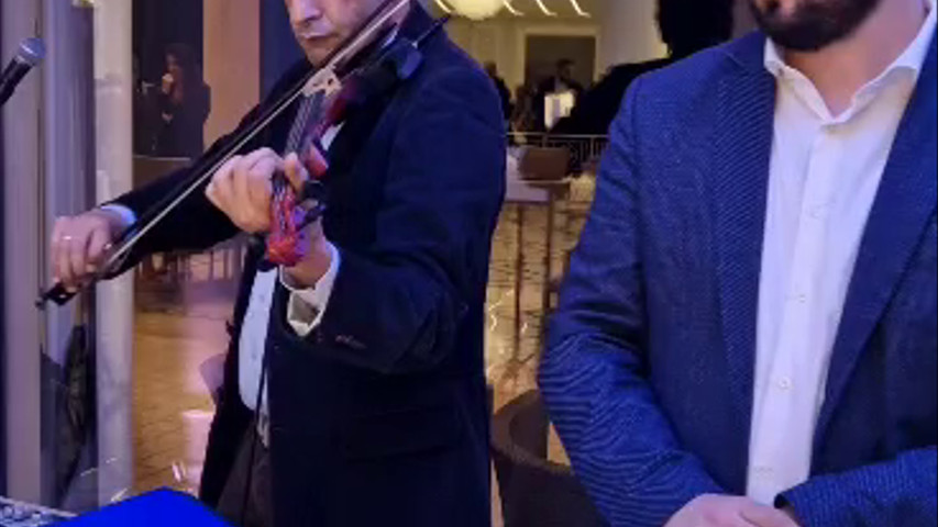 Violino
