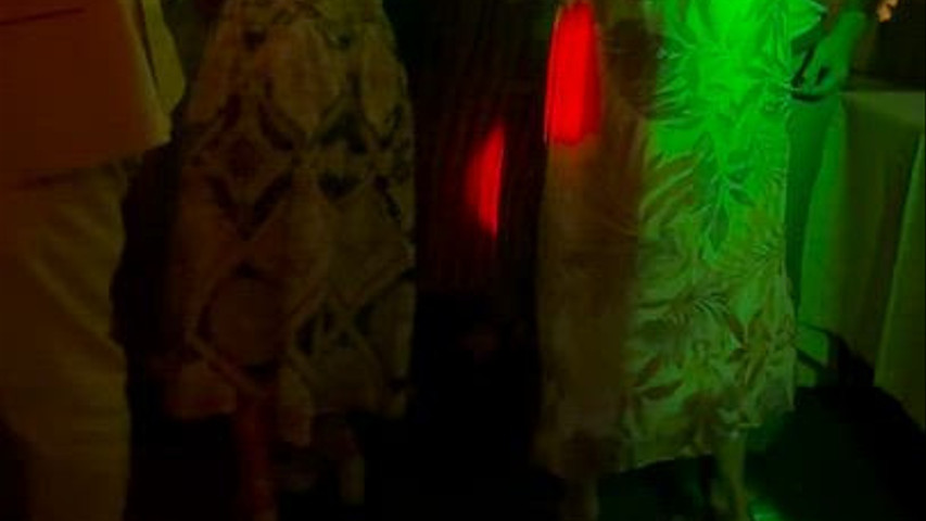 Party Dj Wedding