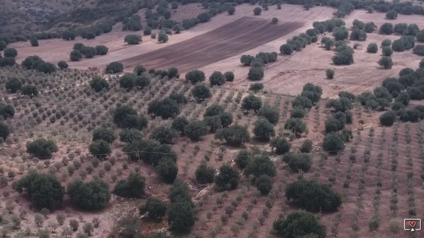 Video Tenuta Chiaramonte