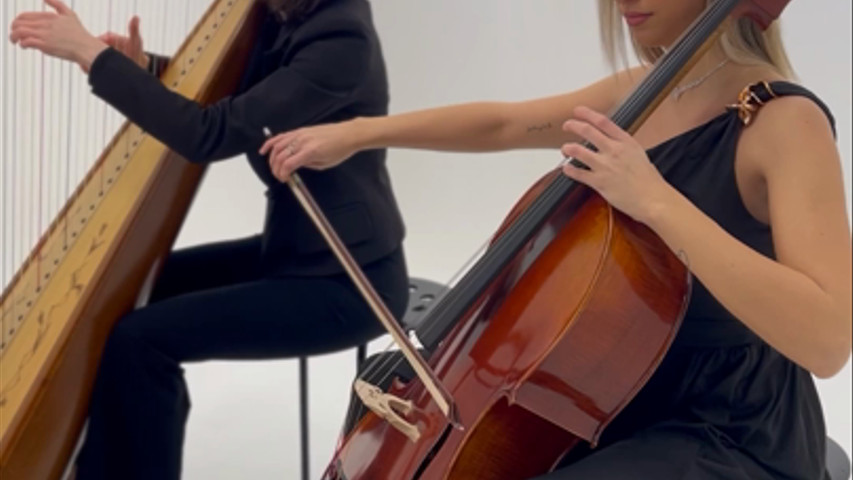 Arpa e violoncello