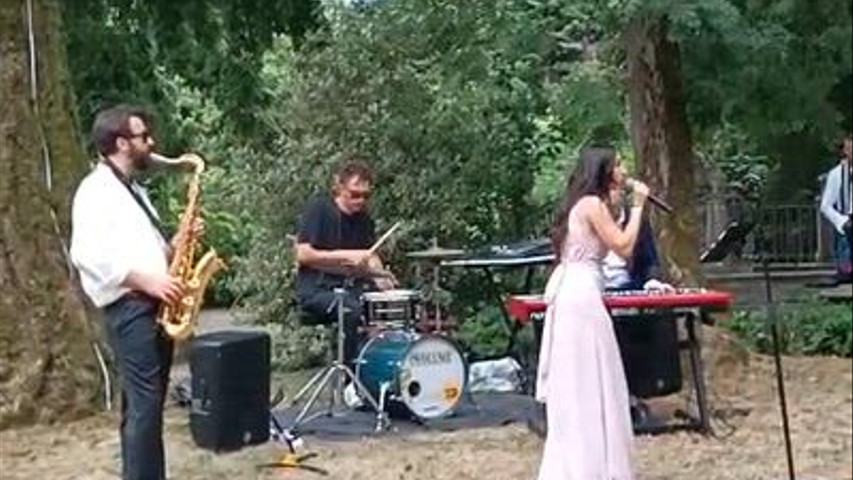 Professional Music Eventi