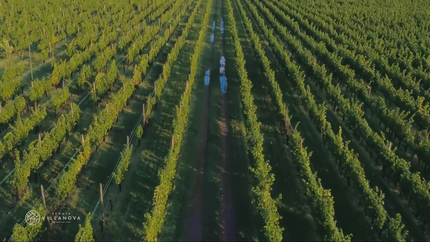 Tenuta Villanova