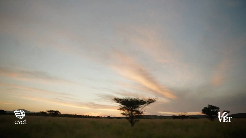 Viaggio di nozze Sudafrica e Tsarabanjina