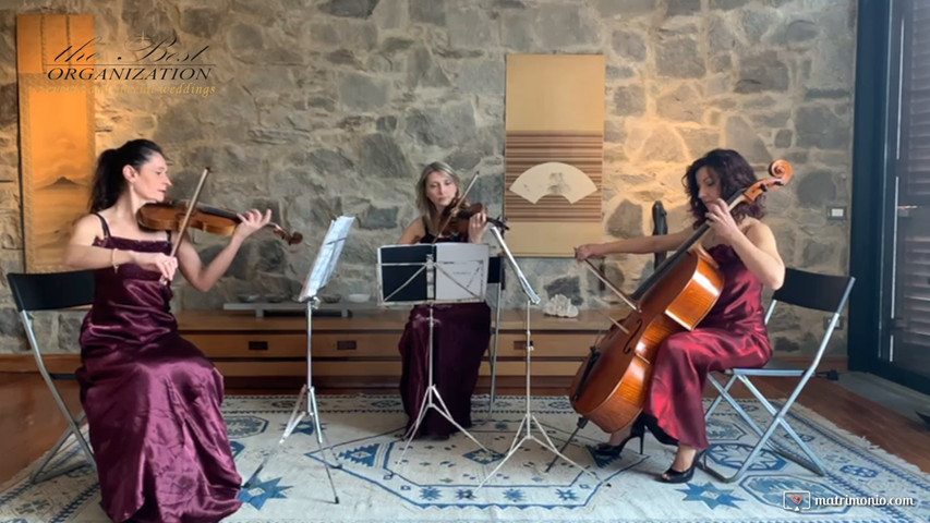 Trio d'archi violino viola violoncello