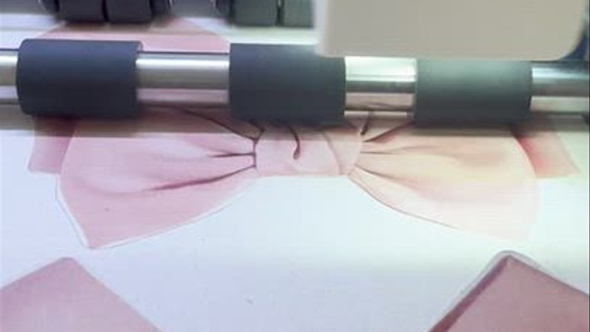Stampe Grafiche