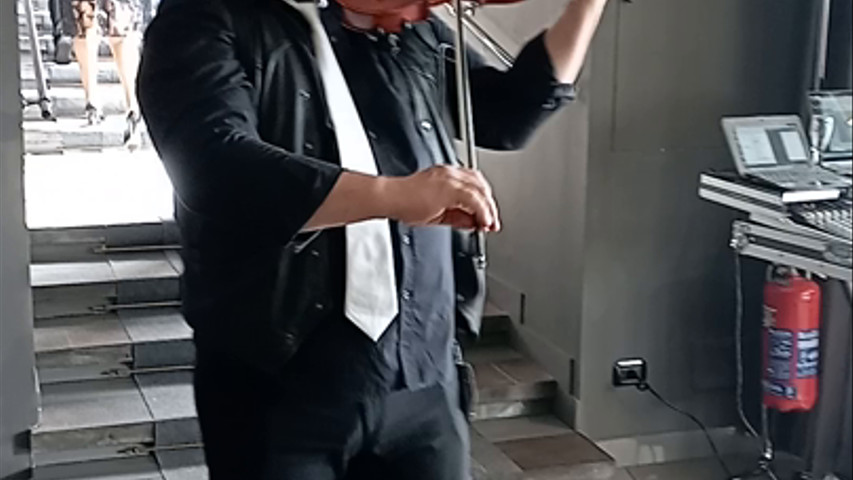 Violinista