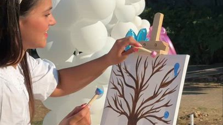 Fuochi coloration di Gender reveal 