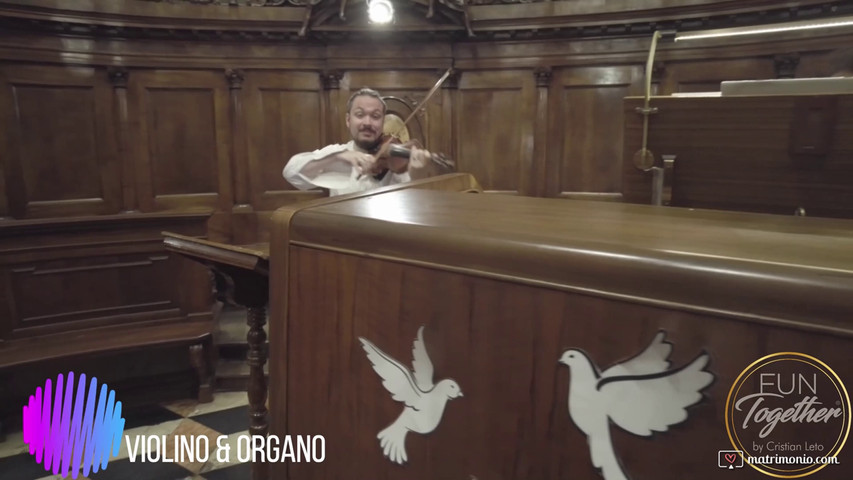 Violino organo