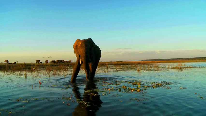 Botswana 