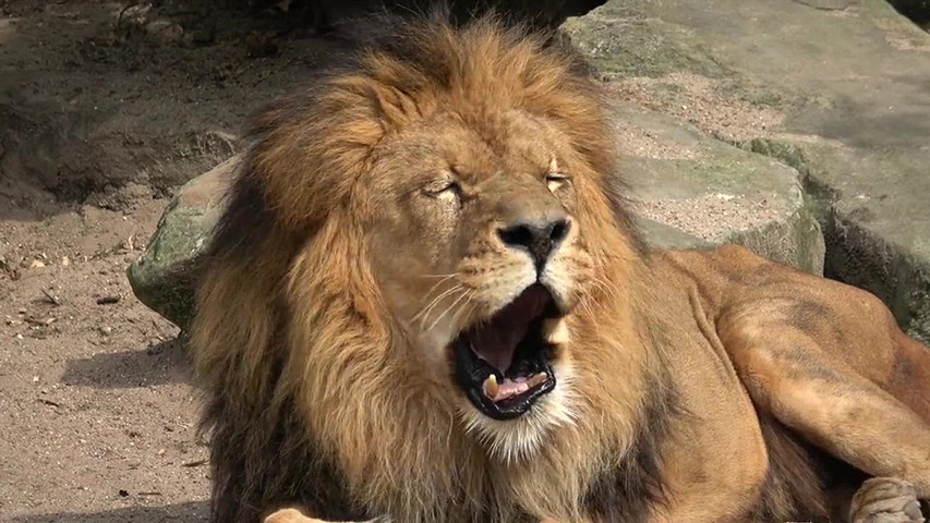 Kruger National Park