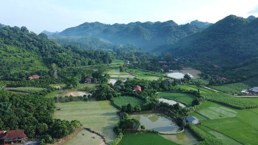 Vietnam 