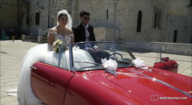 Wedding in Spider