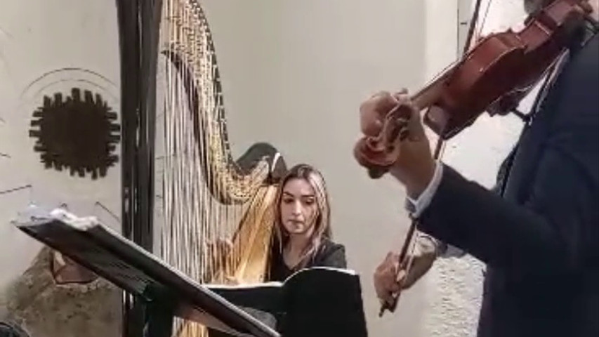 Arpa e violino 