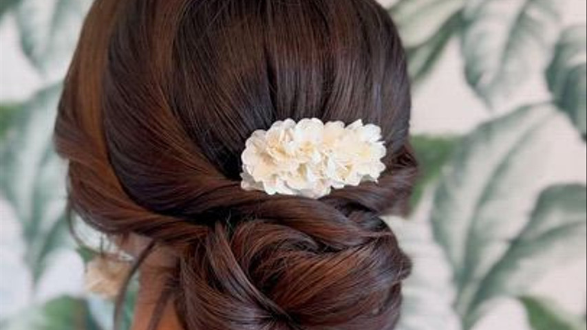 Raccolto elegante 
