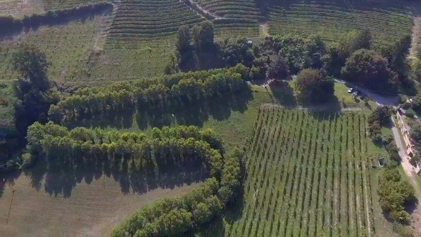 Tenuta Tamburnin 