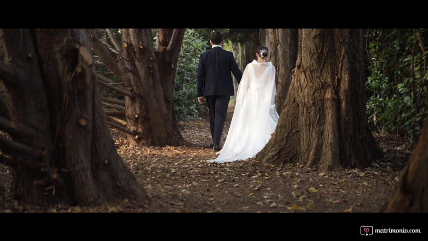 Musica Matrimonio Verona A Million Dreams - Taglio torta