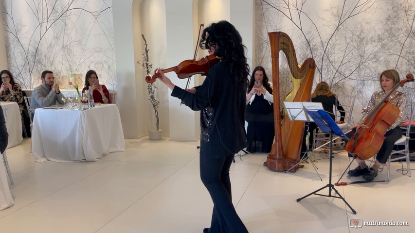 Violinista per matrimonio