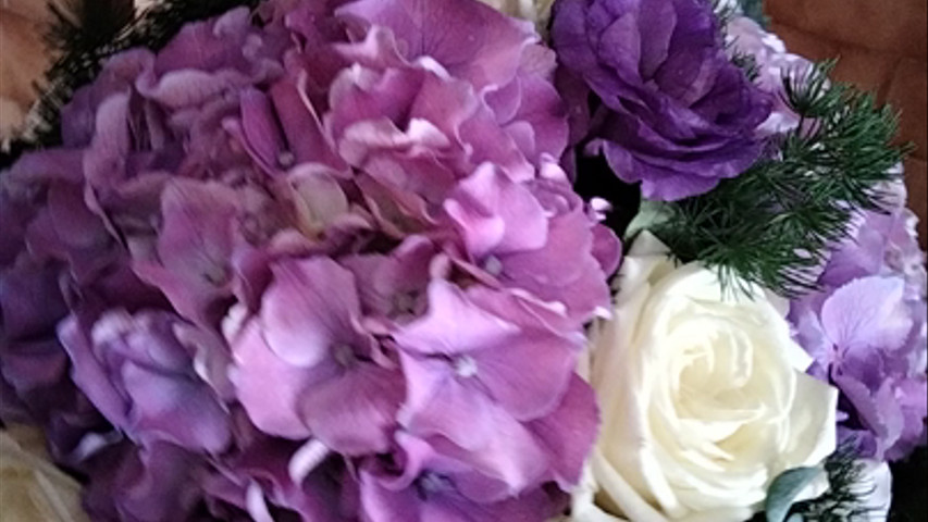 Anna Ammirato Flowers