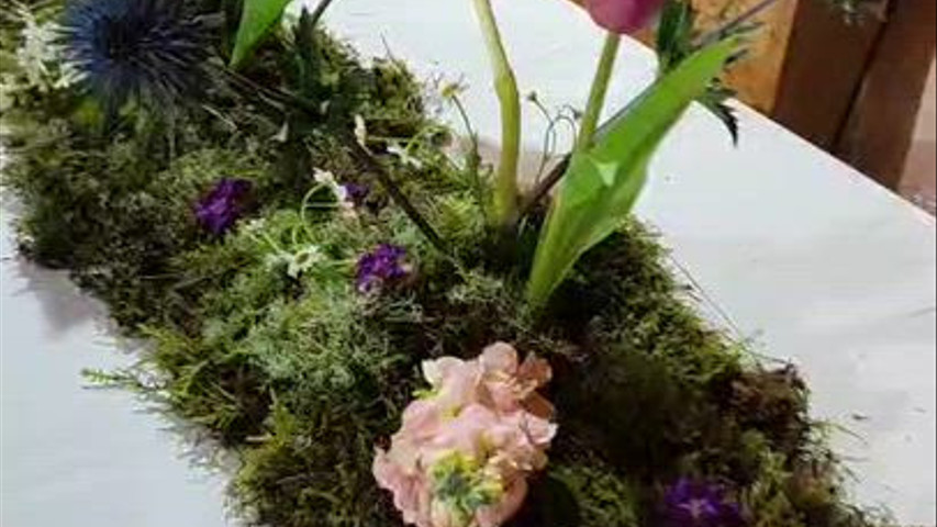 Magnolia Fiori & Co