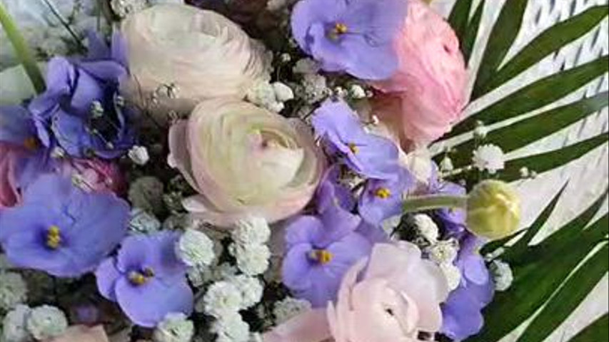 Magnolia Fiori & Co