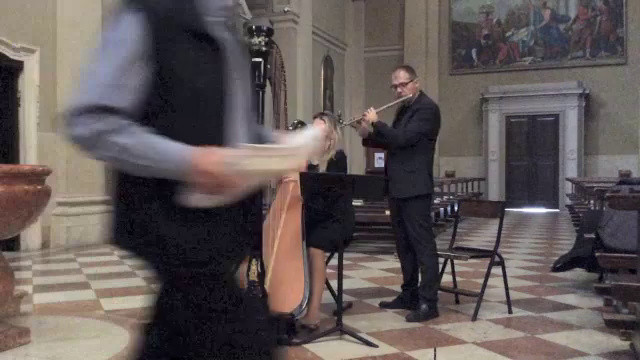 Duo arpa classica e flauto traverso