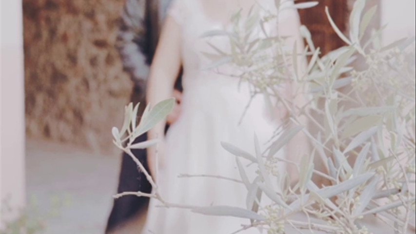 Michela & Alessio Wedding Reel