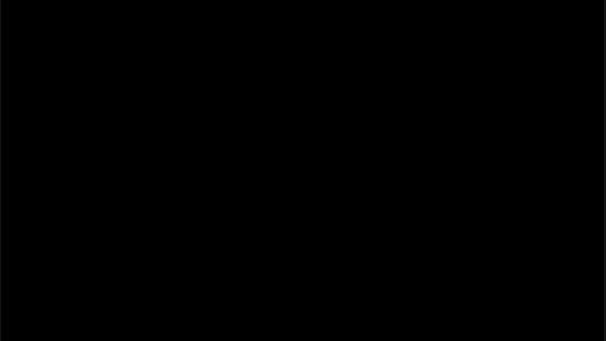 Solea 40esimo