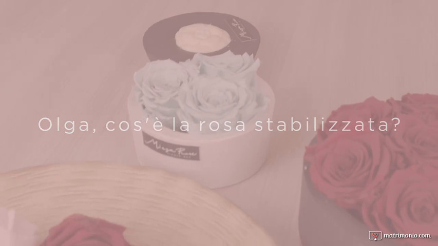 Cosa sono le rose stabilizzate 