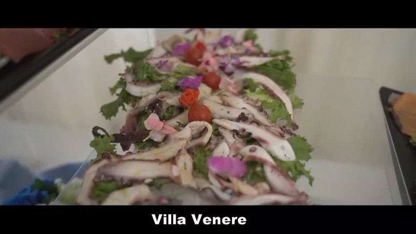 Villa venera 