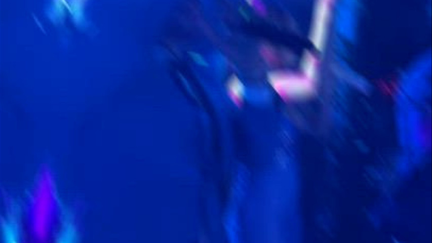 Live show 