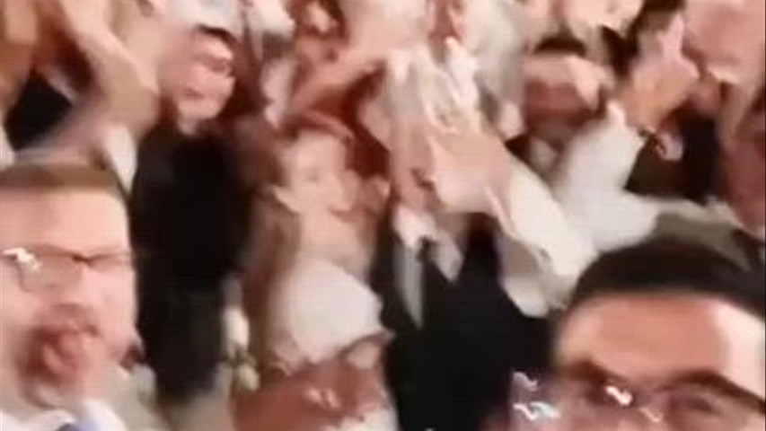 Wedding Festalunga