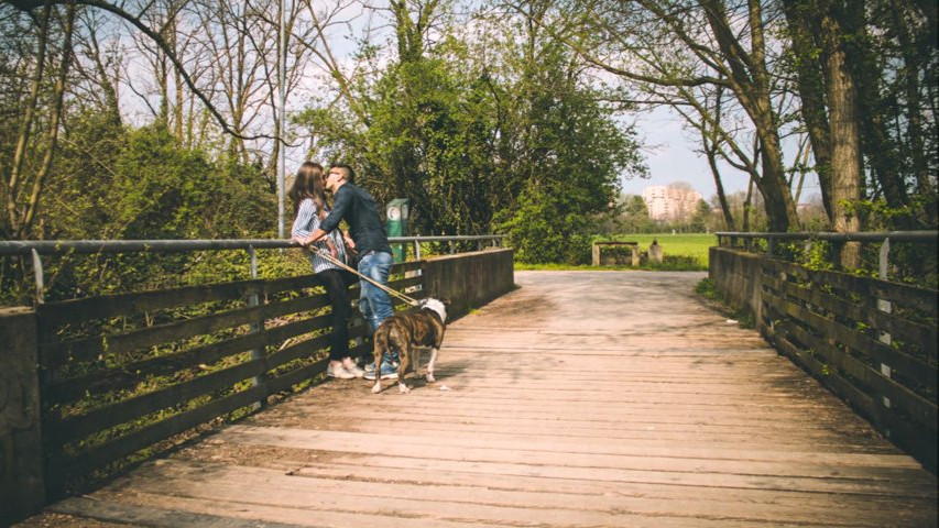 Trailer PreWedding Federica e Fabio