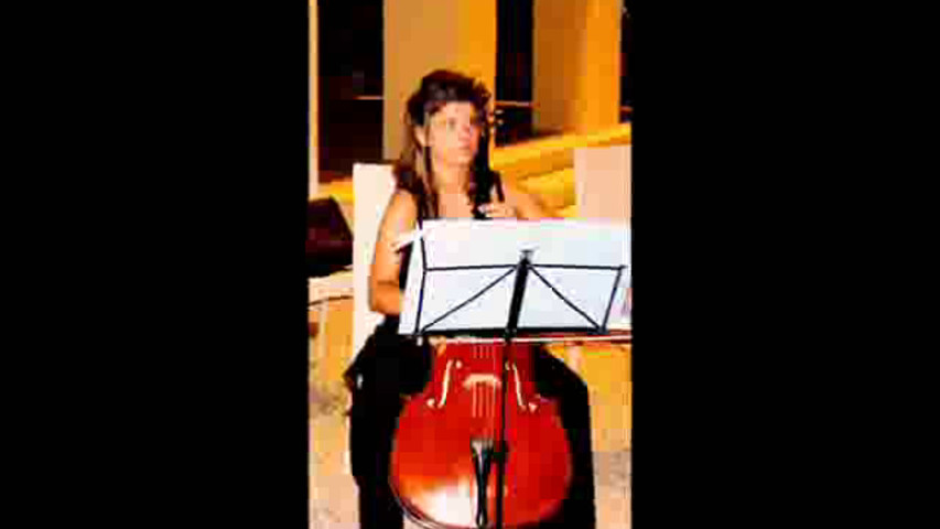 Ensemble Piccola Orchestra - tributo in quartetto