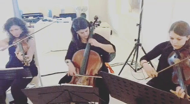 Shape of you - String Quartet Ensemble Piccola Orchestra