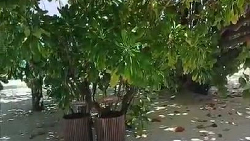 Maldive 