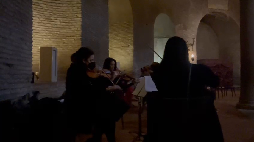 Fratello Sorella Luna 